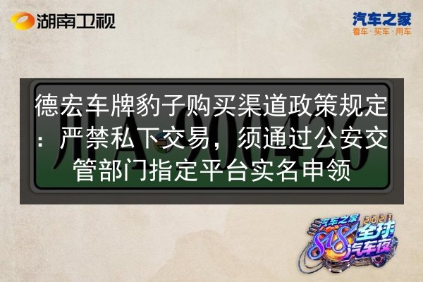 德宏车牌豹子购买渠道政策规定：严禁私下交易，须通过公安交管部门指定平台实名申领 第3张