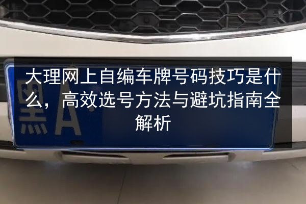 大理网上自编车牌号码技巧是什么，高效选号方法与避坑指南全解析 第2张