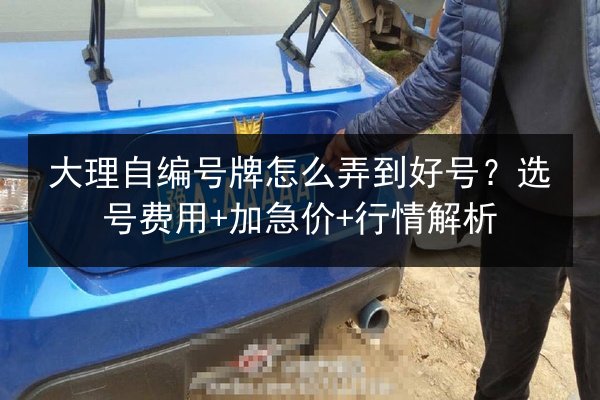 大理自编号牌怎么弄到好号?选号费用+加急价+行情解析 第2张 大理自编号牌怎么弄到好号?选号费用+加急价+行情解析 第2张