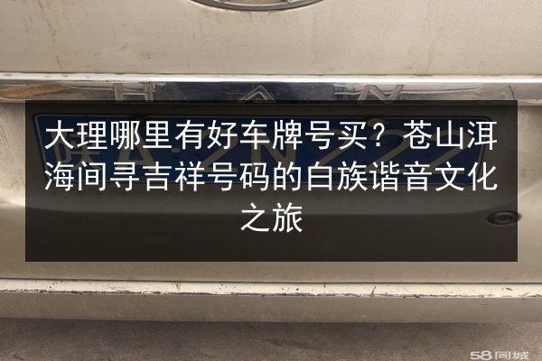 大理哪里有好车牌号买？苍山洱海间寻吉祥号码的白族谐音文化之旅 第2张