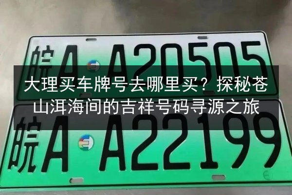 大理买车牌号去哪里买？探秘苍山洱海间的吉祥号码寻源之旅 第2张