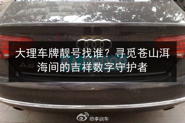大理车牌靓号找谁？寻觅苍山洱海间的吉祥数字守护者 第2张