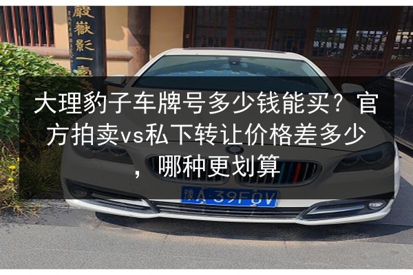 大理豹子车牌号多少钱能买？官方拍卖vs私下转让价格差多少，哪种更划算 第2张