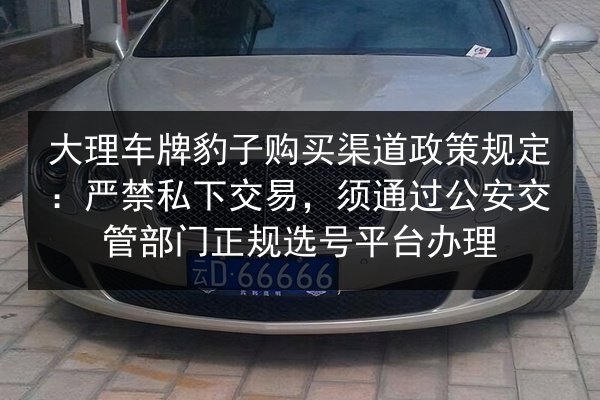 大理车牌豹子购买渠道政策规定:严禁私下交易,须通过公安交管部门正规选号平台办理 第2张 大理车牌豹子购买渠道政策规定:严禁私下交易,须通过公安交管部门正规选号平台办理 第2张