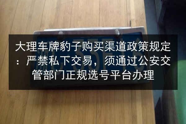大理车牌豹子购买渠道政策规定:严禁私下交易,须通过公安交管部门正规选号平台办理 第3张 大理车牌豹子购买渠道政策规定:严禁私下交易,须通过公安交管部门正规选号平台办理 第3张