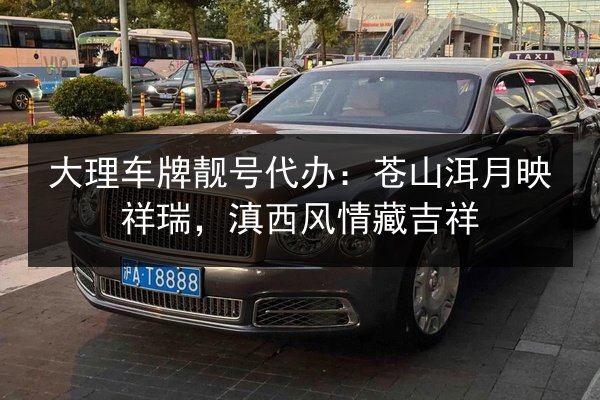 大理车牌靓号代办:苍山洱月映祥瑞,滇西风情藏吉祥 第1张 大理车牌靓号代办:苍山洱月映祥瑞,滇西风情藏吉祥 第1张
