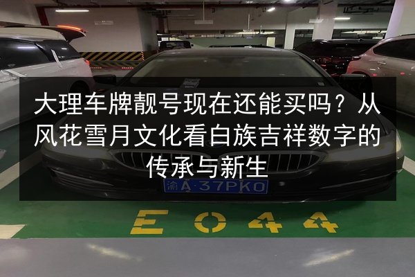 大理车牌靓号现在还能买吗？从风花雪月文化看白族吉祥数字的传承与新生 第2张