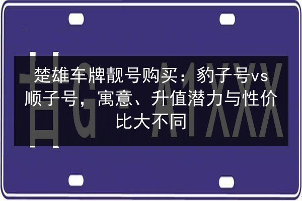 楚雄车牌靓号购买：豹子号vs顺子号，寓意、升值潜力与性价比大不同 第1张