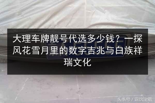 大理车牌靓号代选多少钱？一探风花雪月里的数字吉兆与白族祥瑞文化 第3张