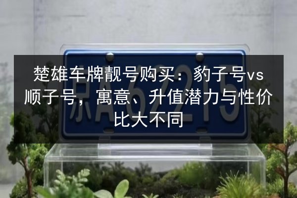 楚雄车牌靓号购买：豹子号vs顺子号，寓意、升值潜力与性价比大不同 第2张