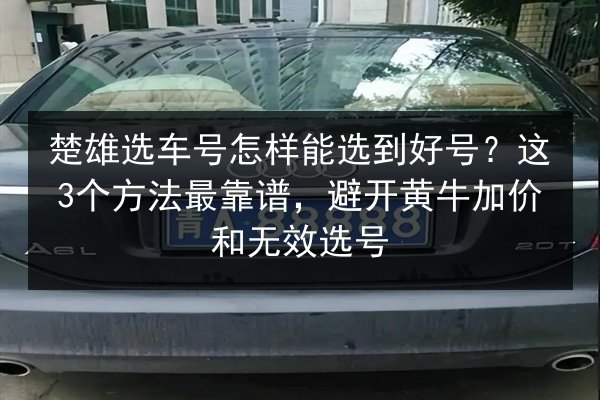 楚雄选车号怎样能选到好号?这3个方法最靠谱,避开黄牛加价和无效选号 第3张 楚雄选车号怎样能选到好号?这3个方法最靠谱,避开黄牛加价和无效选号 第3张