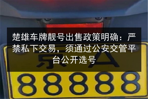 楚雄车牌靓号出售政策明确:严禁私下交易,须通过公安交管平台公开选号 第2张 楚雄车牌靓号出售政策明确:严禁私下交易,须通过公安交管平台公开选号 第2张