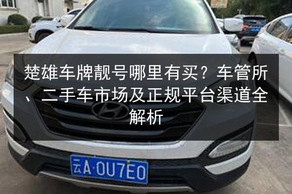 楚雄车牌靓号哪里有买？车管所、二手车市场及正规平台渠道全解析 第2张