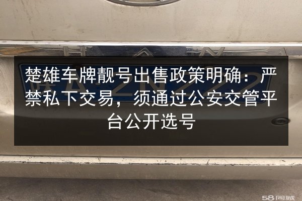 楚雄车牌靓号出售政策明确:严禁私下交易,须通过公安交管平台公开选号 第3张 楚雄车牌靓号出售政策明确:严禁私下交易,须通过公安交管平台公开选号 第3张