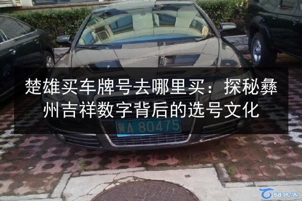 楚雄买车牌号去哪里买：探秘彝州吉祥数字背后的选号文化 第2张