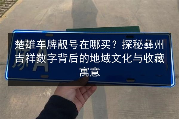 楚雄车牌靓号在哪买?探秘彝州吉祥数字背后的地域文化与收藏寓意 第3张 楚雄车牌靓号在哪买?探秘彝州吉祥数字背后的地域文化与收藏寓意 第3张