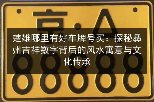 楚雄哪里有好车牌号买：探秘彝州吉祥数字背后的风水寓意与文化传承 第2张