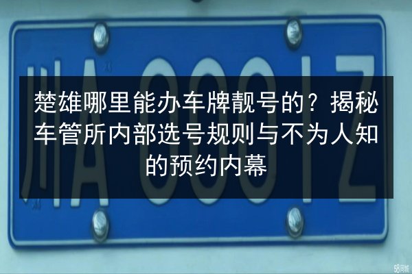 楚雄哪里能办车牌靓号的？揭秘车管所内部选号规则与不为人知的预约内幕 第2张