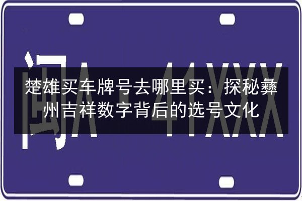 楚雄买车牌号去哪里买：探秘彝州吉祥数字背后的选号文化 第3张