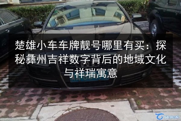 楚雄小车车牌靓号哪里有买：探秘彝州吉祥数字背后的地域文化与祥瑞寓意 第3张