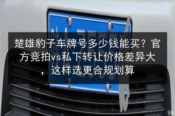 楚雄豹子车牌号多少钱能买?官方竞拍vs私下转让价格差异大,这样选更合规划算 第1张 楚雄豹子车牌号多少钱能买?官方竞拍vs私下转让价格差异大,这样选更合规划算 第1张