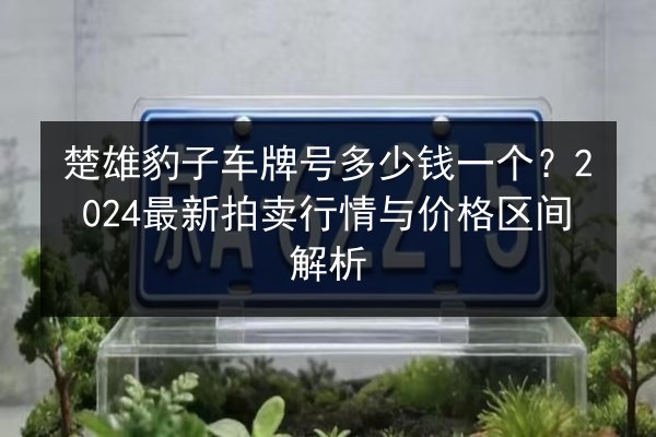 楚雄豹子车牌号多少钱一个？2024最新拍卖行情与价格区间解析 第2张