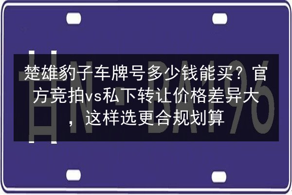 楚雄豹子车牌号多少钱能买?官方竞拍vs私下转让价格差异大,这样选更合规划算 第2张 楚雄豹子车牌号多少钱能买?官方竞拍vs私下转让价格差异大,这样选更合规划算 第2张