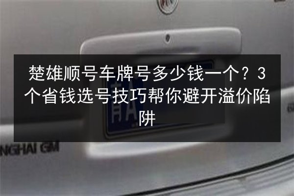 楚雄顺号车牌号多少钱一个?3个省钱选号技巧帮你避开溢价陷阱 第2张 楚雄顺号车牌号多少钱一个?3个省钱选号技巧帮你避开溢价陷阱 第2张