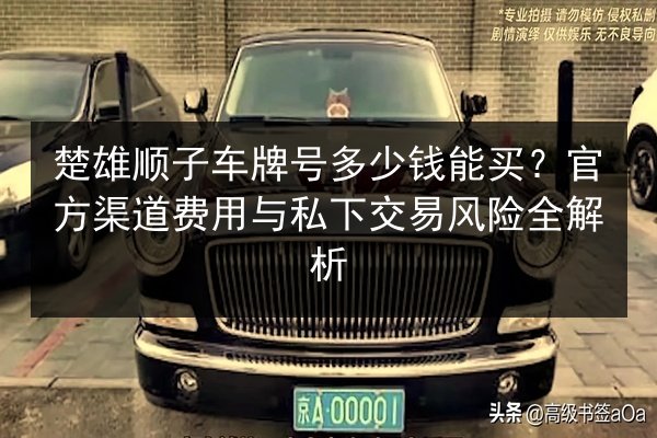 楚雄顺子车牌号多少钱能买？官方渠道费用与私下交易风险全解析 第3张