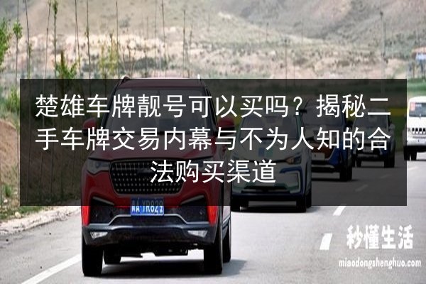 楚雄车牌靓号可以买吗？揭秘二手车牌交易内幕与不为人知的合法购买渠道 第2张