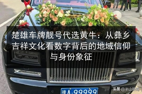 楚雄车牌靓号代选黄牛：从彝乡吉祥文化看数字背后的地域信仰与身份象征 第2张
