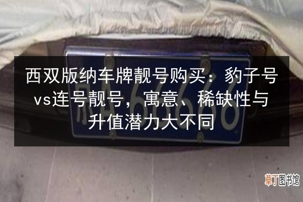 西双版纳车牌靓号购买:豹子号vs连号靓号,寓意、稀缺性与升值潜力大不同 第1张 西双版纳车牌靓号购买:豹子号vs连号靓号,寓意、稀缺性与升值潜力大不同 第1张