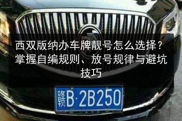 西双版纳办车牌靓号怎么选择?掌握自编规则、放号规律与避坑技巧 第2张 西双版纳办车牌靓号怎么选择?掌握自编规则、放号规律与避坑技巧 第2张
