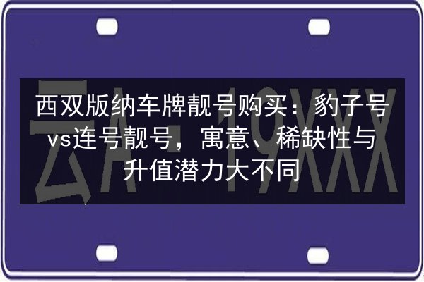 西双版纳车牌靓号购买:豹子号vs连号靓号,寓意、稀缺性与升值潜力大不同 第3张 西双版纳车牌靓号购买:豹子号vs连号靓号,寓意、稀缺性与升值潜力大不同 第3张