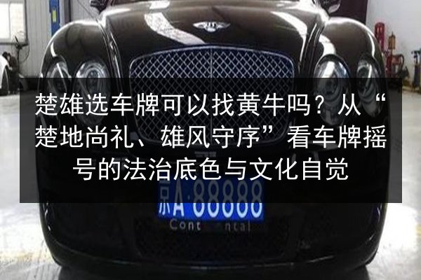 楚雄选车牌可以找黄牛吗?从“楚地尚礼、雄风守序”看车牌摇号的法治底色与文化自觉 第2张 楚雄选车牌可以找黄牛吗?从“楚地尚礼、雄风守序”看车牌摇号的法治底色与文化自觉 第2张