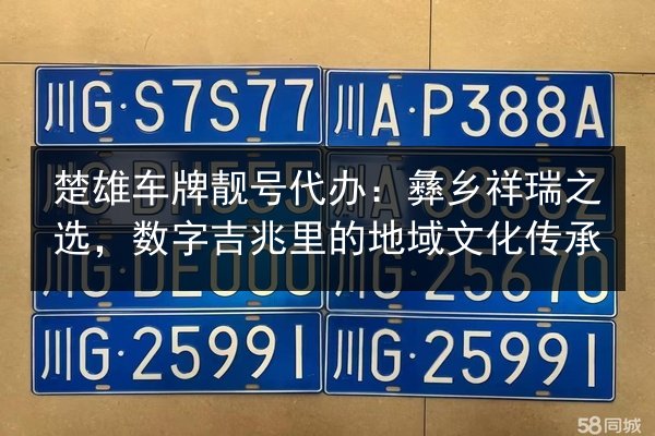 楚雄车牌靓号代办：彝乡祥瑞之选，数字吉兆里的地域文化传承 第3张