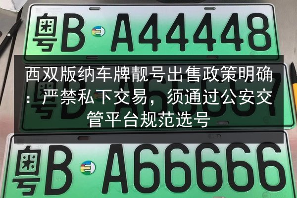 西双版纳车牌靓号出售政策明确:严禁私下交易,须通过公安交管平台规范选号 第3张 西双版纳车牌靓号出售政策明确:严禁私下交易,须通过公安交管平台规范选号 第3张