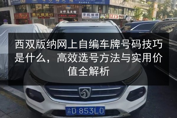西双版纳网上自编车牌号码技巧是什么,高效选号方法与实用价值全解析 第3张 西双版纳网上自编车牌号码技巧是什么,高效选号方法与实用价值全解析 第3张