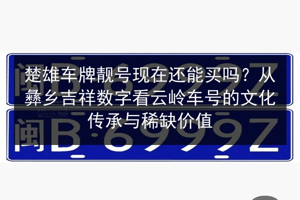 楚雄车牌靓号现在还能买吗？从彝乡吉祥数字看云岭车号的文化传承与稀缺价值 第3张