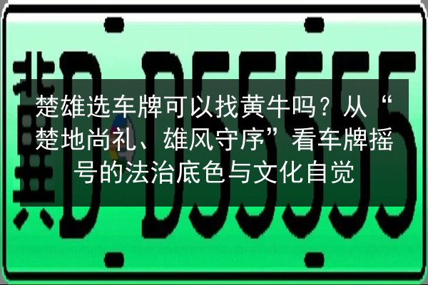 楚雄选车牌可以找黄牛吗?从“楚地尚礼、雄风守序”看车牌摇号的法治底色与文化自觉 第3张 楚雄选车牌可以找黄牛吗?从“楚地尚礼、雄风守序”看车牌摇号的法治底色与文化自觉 第3张