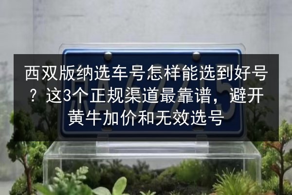 西双版纳选车号怎样能选到好号?这3个正规渠道最靠谱,避开黄牛加价和无效选号 第3张 西双版纳选车号怎样能选到好号?这3个正规渠道最靠谱,避开黄牛加价和无效选号 第3张