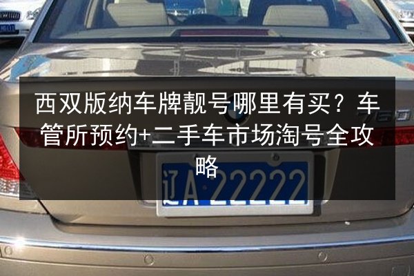西双版纳车牌靓号哪里有买？车管所预约+二手车市场淘号全攻略 第2张