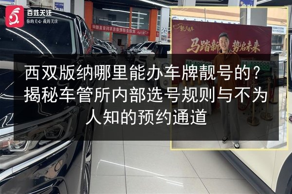 西双版纳哪里能办车牌靓号的？揭秘车管所内部选号规则与不为人知的预约通道 第2张