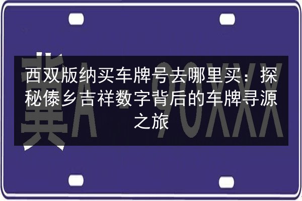 西双版纳买车牌号去哪里买：探秘傣乡吉祥数字背后的车牌寻源之旅