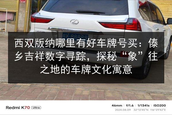 西双版纳哪里有好车牌号买：傣乡吉祥数字寻踪，探秘“象”往之地的车牌文化寓意 第2张