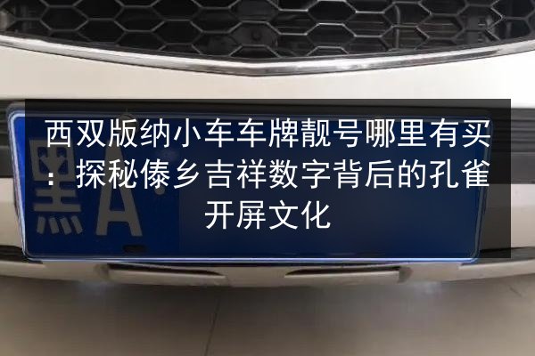 西双版纳小车车牌靓号哪里有买：探秘傣乡吉祥数字背后的孔雀开屏文化 第2张