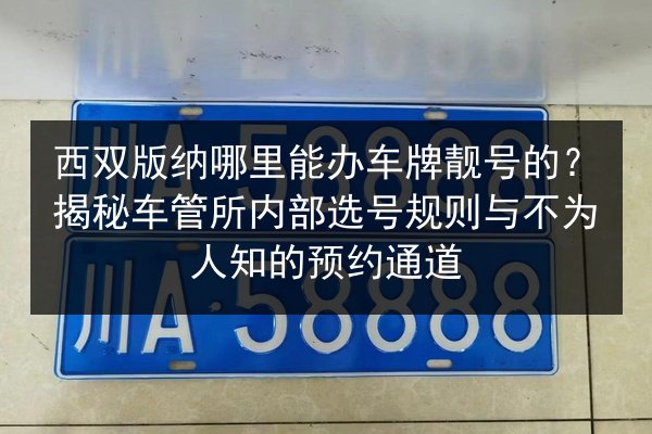 西双版纳哪里能办车牌靓号的？揭秘车管所内部选号规则与不为人知的预约通道 第3张