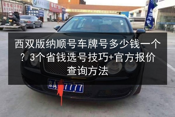 西双版纳顺号车牌号多少钱一个？3个省钱选号技巧+官方报价查询方法 第2张