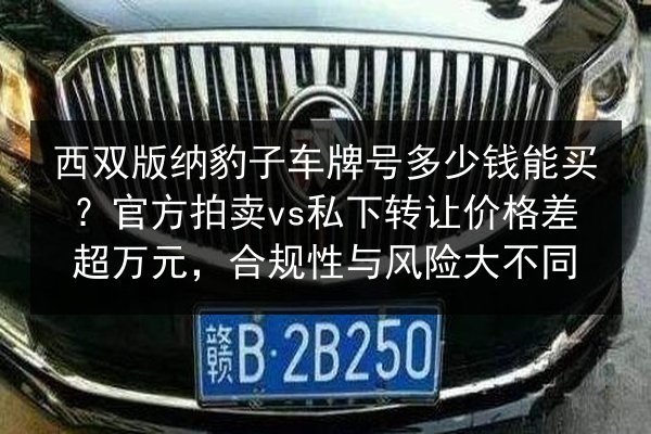 西双版纳豹子车牌号多少钱能买?官方拍卖vs私下转让价格差超万元,合规性与风险大不同 第2张 西双版纳豹子车牌号多少钱能买?官方拍卖vs私下转让价格差超万元,合规性与风险大不同 第2张