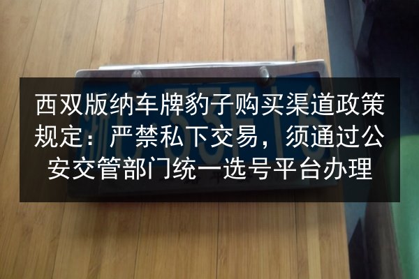 西双版纳车牌豹子购买渠道政策规定:严禁私下交易,须通过公安交管部门统一选号平台办理 第2张 西双版纳车牌豹子购买渠道政策规定:严禁私下交易,须通过公安交管部门统一选号平台办理 第2张